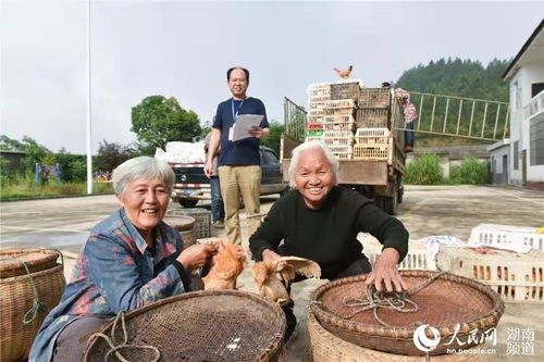 当面锣对面鼓 话说透干劲足