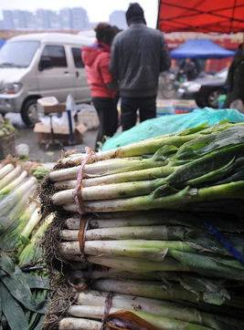 疯狂的大葱囤货风波 经销商获利千万与酒业的警示